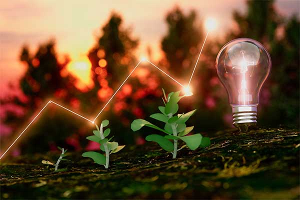 Lightbulb-with-tress-innovative-food-science-consulting-llc Lightbulb with tress innovative food science consulting llc